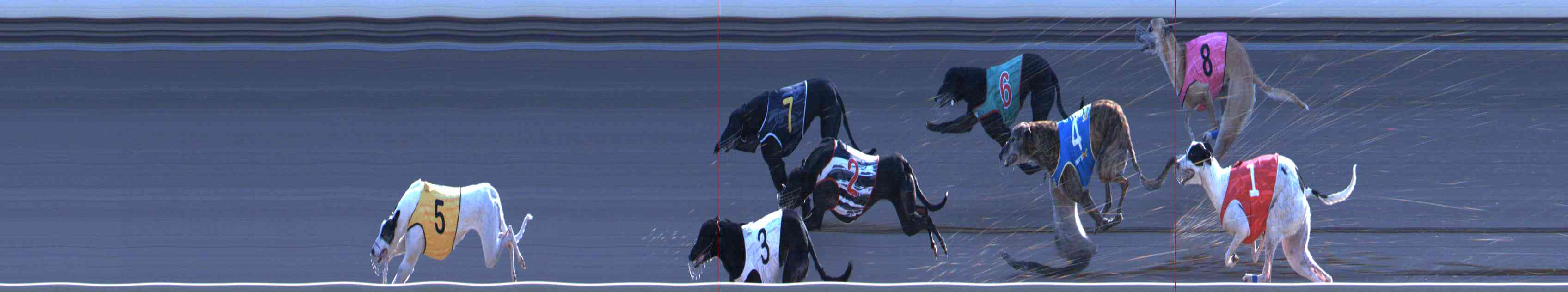Photo finish for Healesville Race 12
