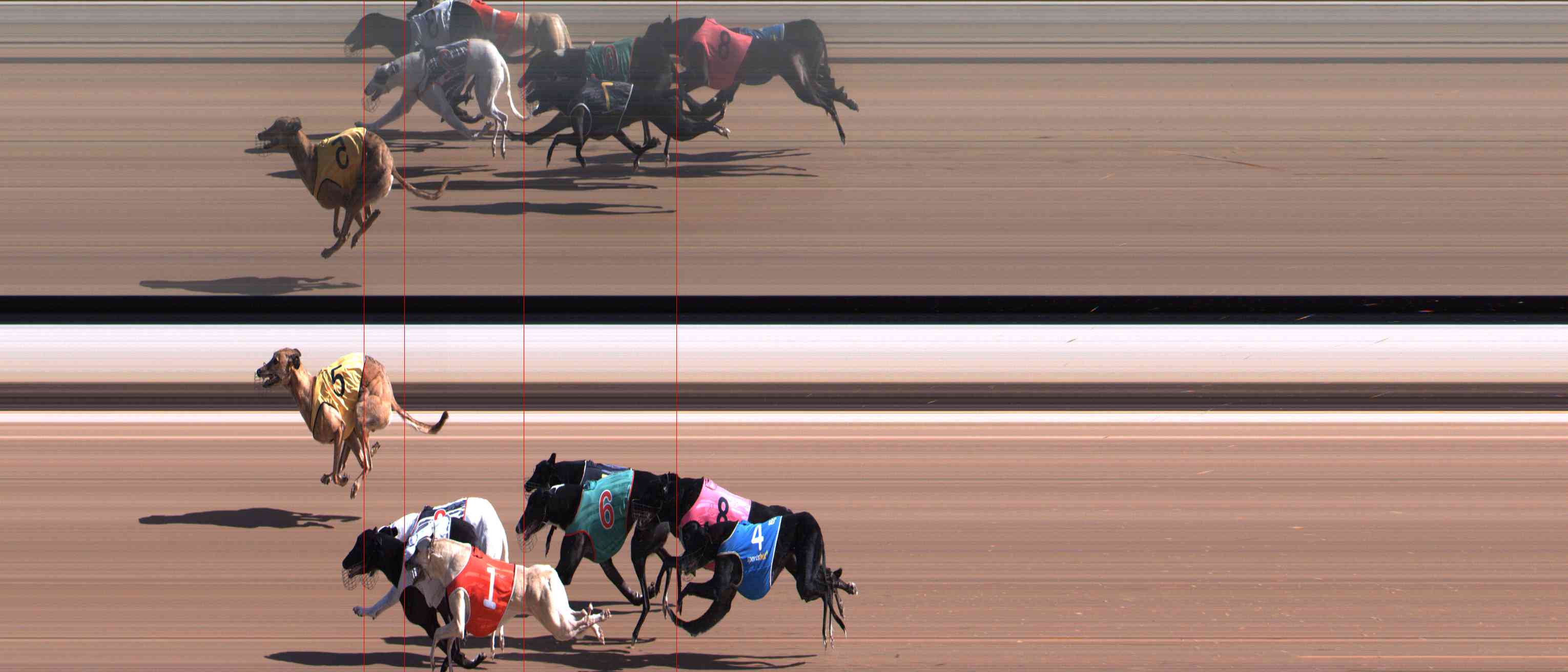 Photo finish for Healesville Race 1