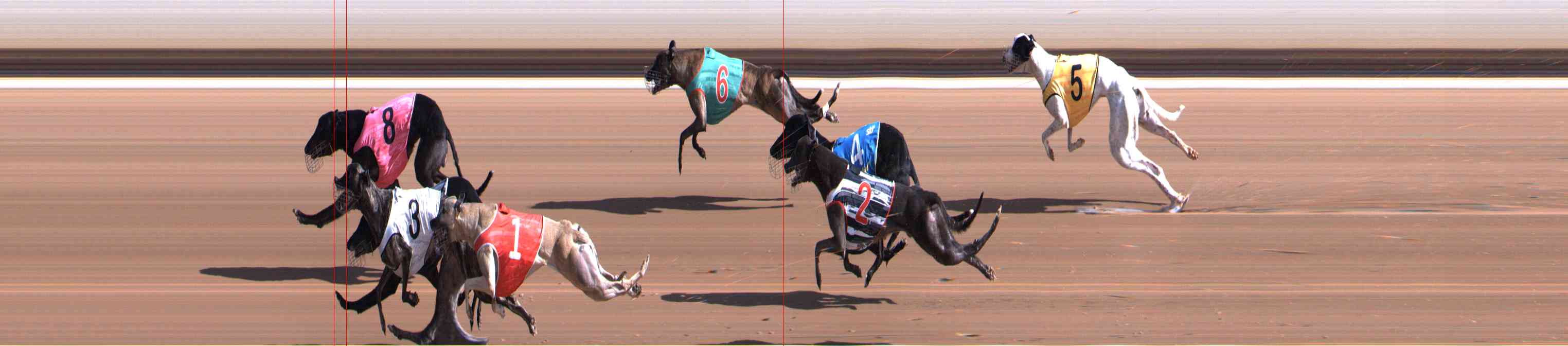 Photo finish for Healesville Race 2