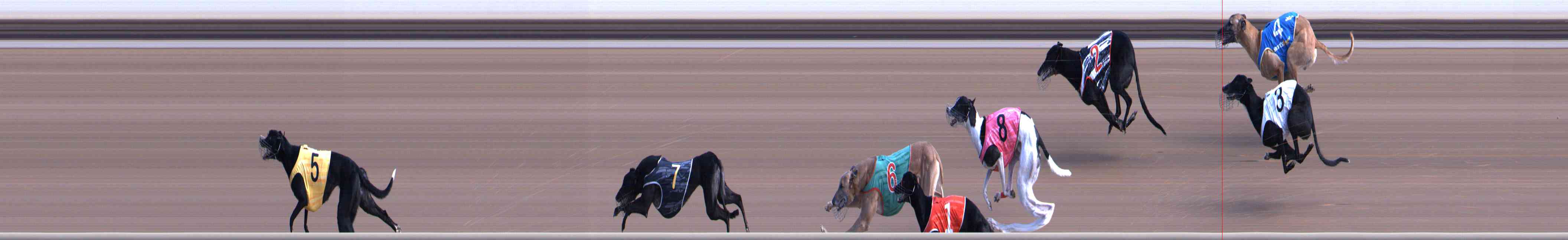 Photo finish for Healesville Race 3