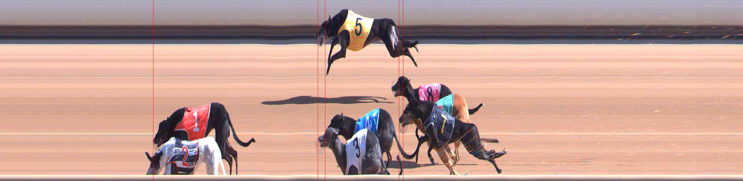 Photo finish for Healesville Race 4