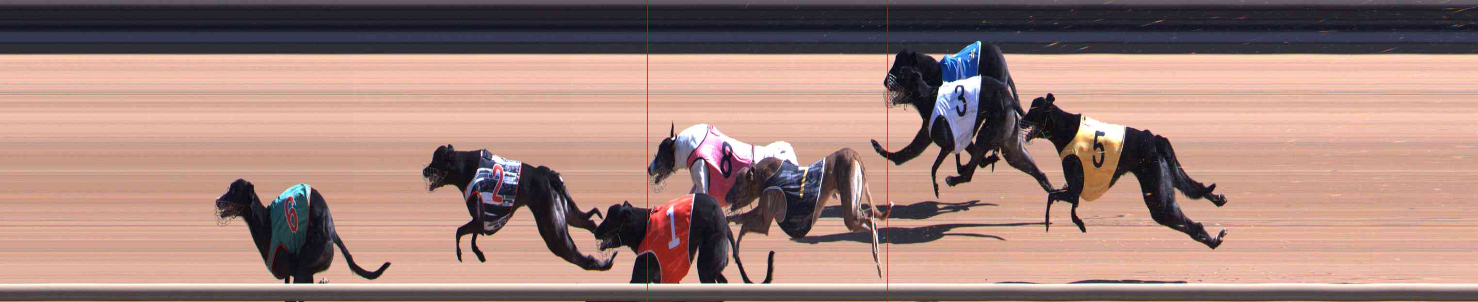 Photo finish for Healesville Race 5