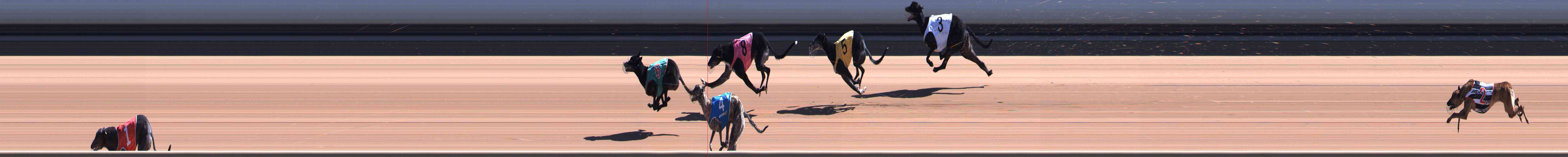 Photo finish for Healesville Race 6