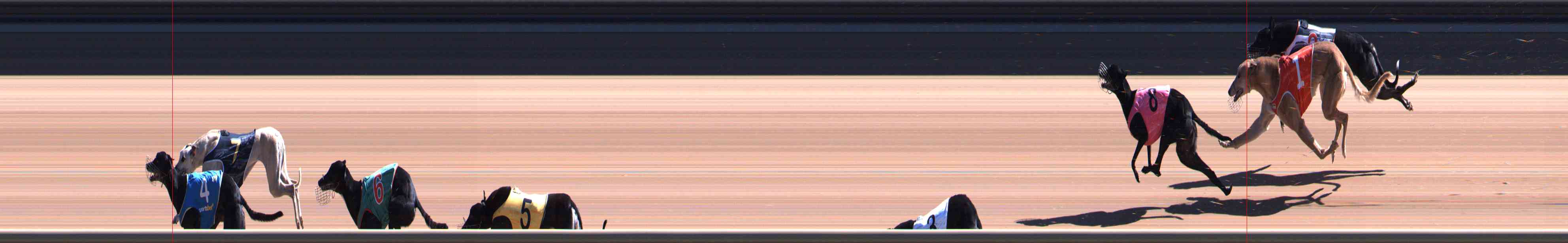 Photo finish for Healesville Race 7