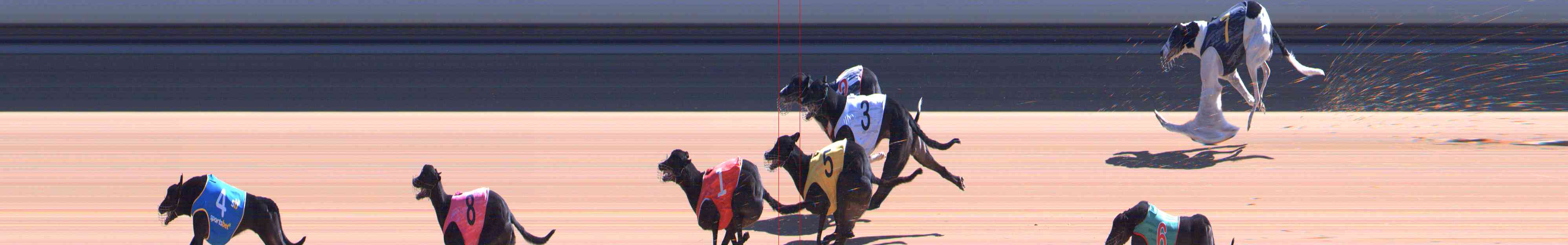 Photo finish for Healesville Race 8