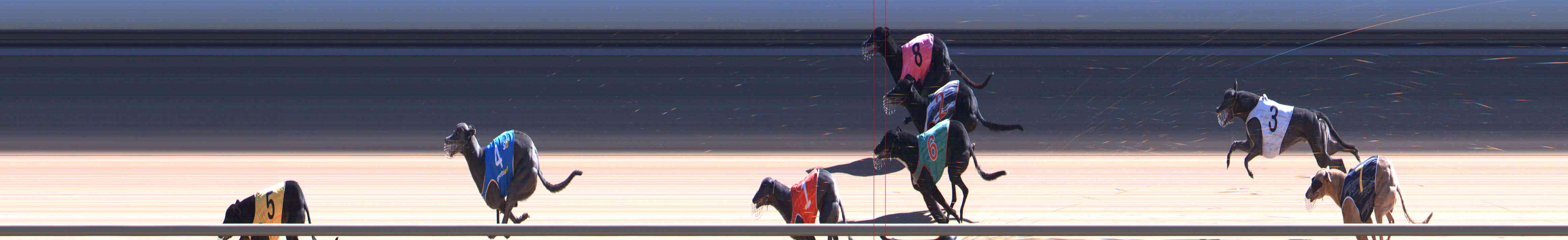 Photo finish for Healesville Race 9