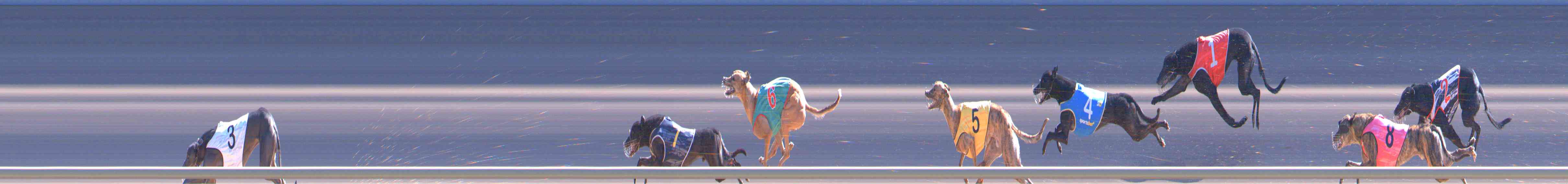 Photo finish for Healesville Race 10