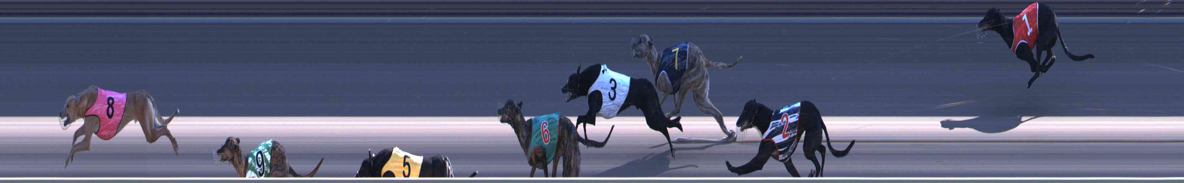 Photo finish for Healesville Race 11