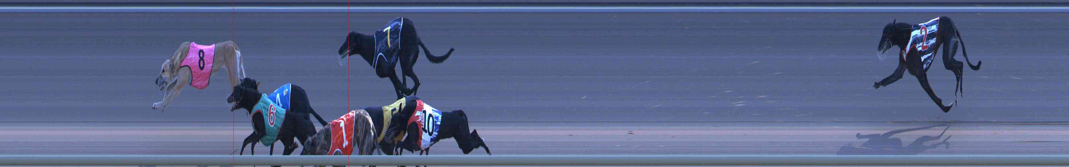 Photo finish for Healesville Race 12