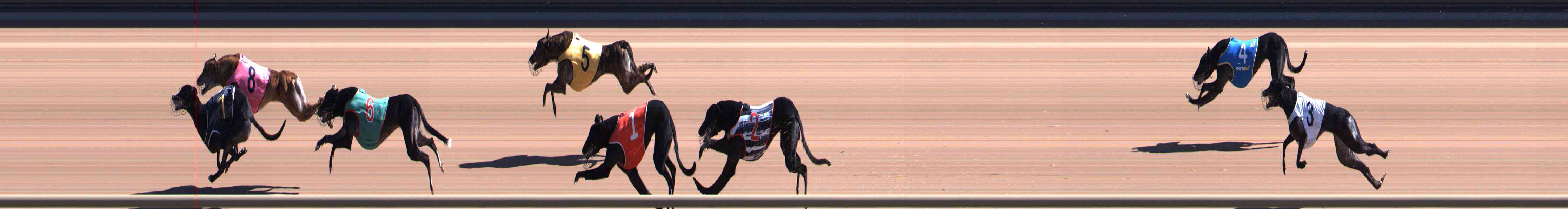 Photo finish for Healesville Race 3