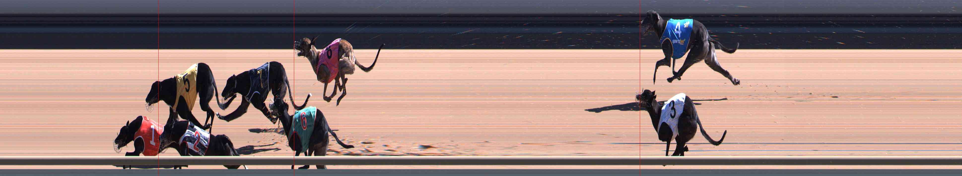 Photo finish for Healesville Race 4