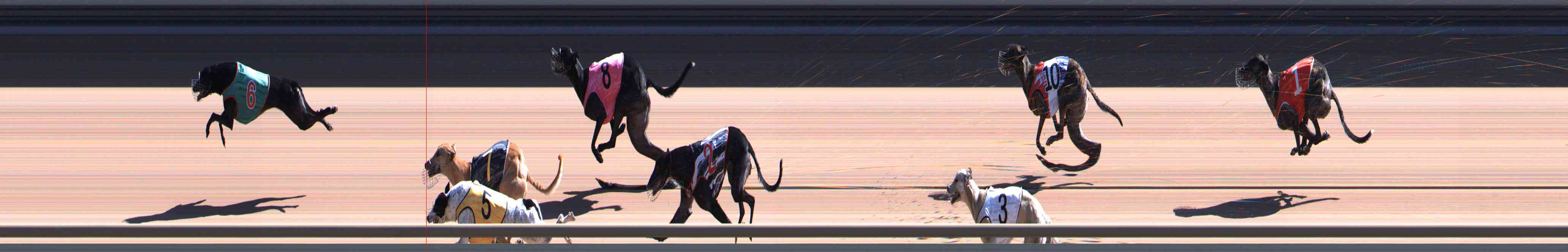 Photo finish for Healesville Race 6