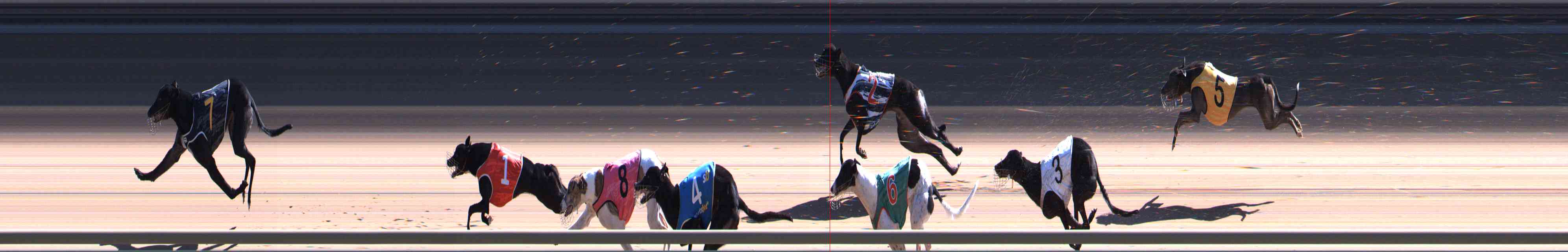 Photo finish for Healesville Race 7