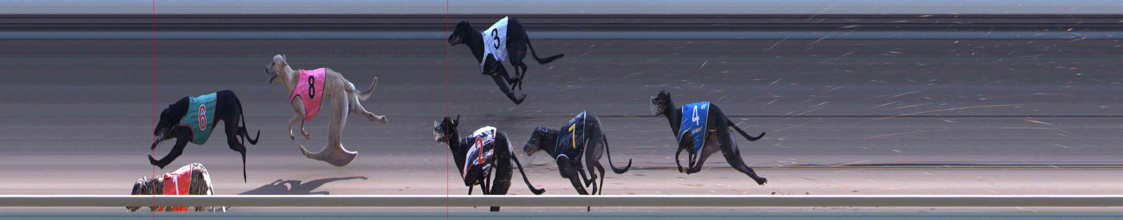 Photo finish for Healesville Race 9