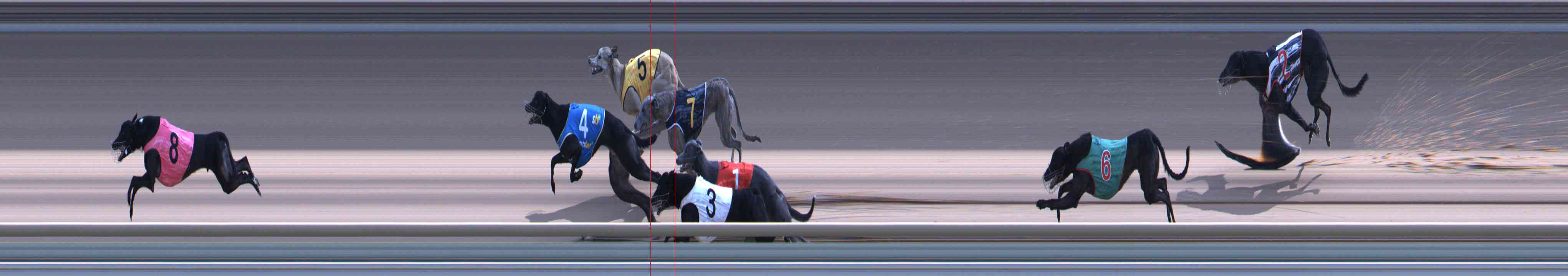 Photo finish for Healesville Race 10