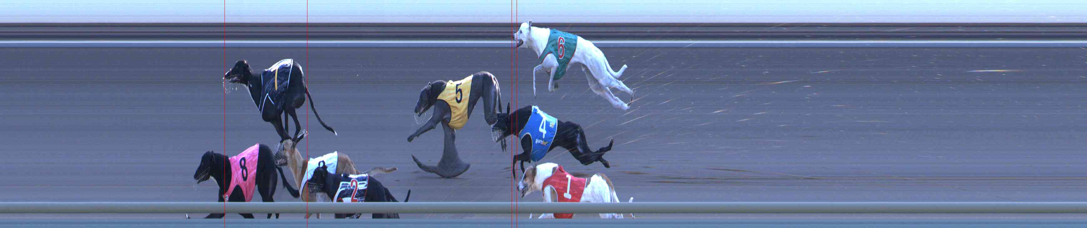 Photo finish for Healesville Race 12