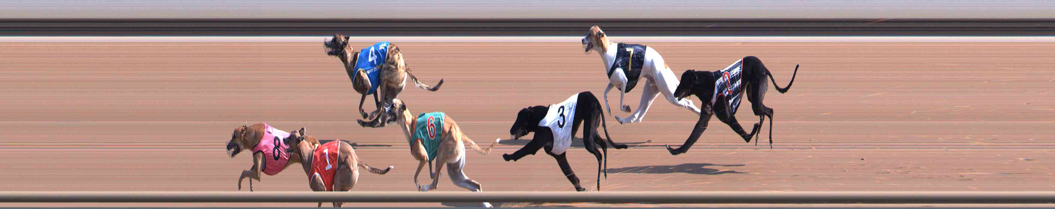Photo finish for Healesville Race 2