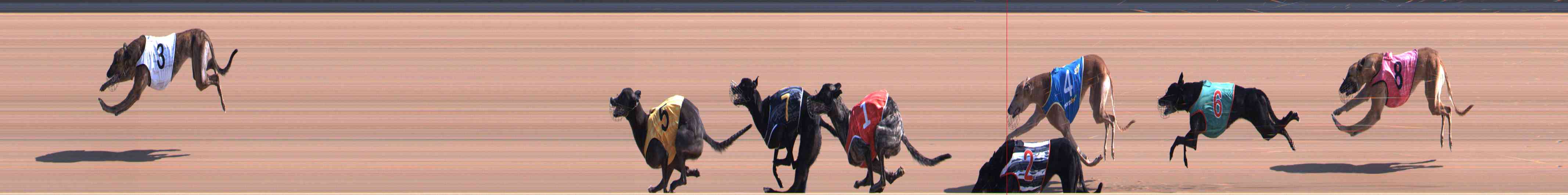 Photo finish for Healesville Race 3