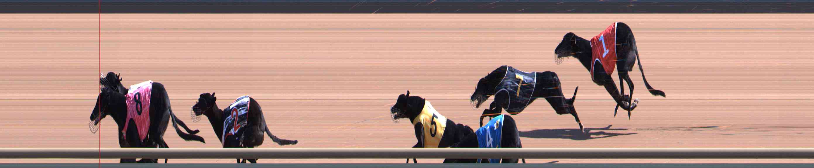 Photo finish for Healesville Race 4