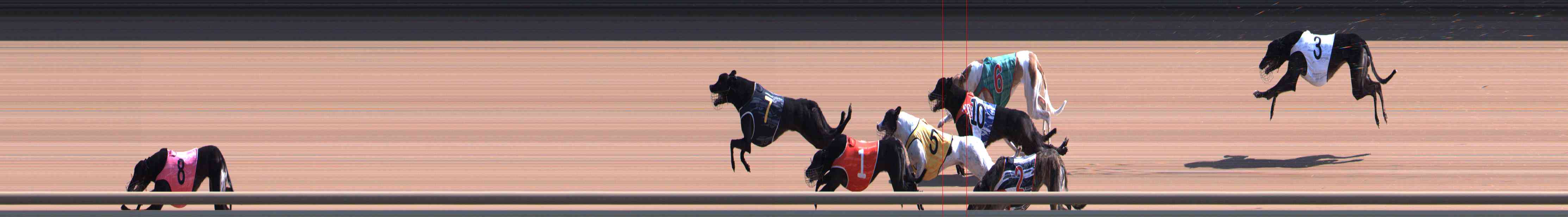 Photo finish for Healesville Race 5
