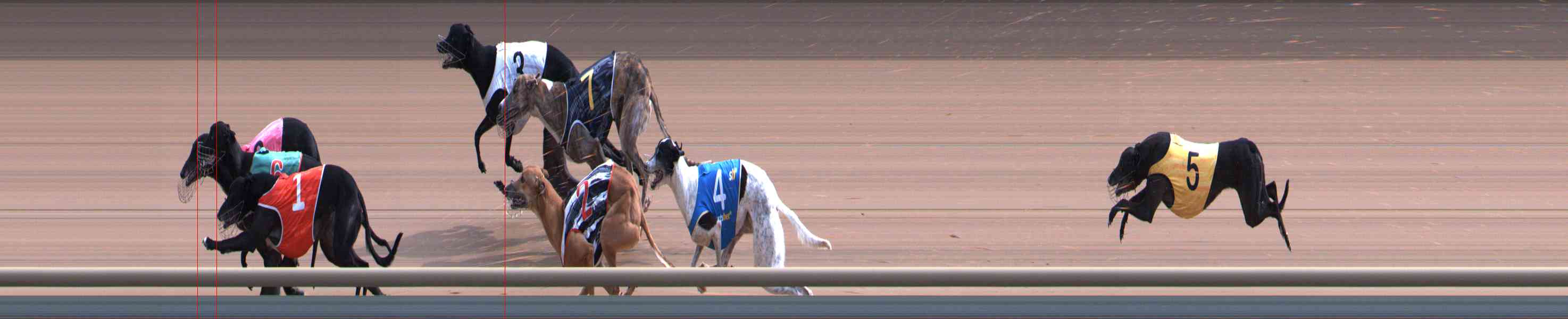 Photo finish for Healesville Race 6