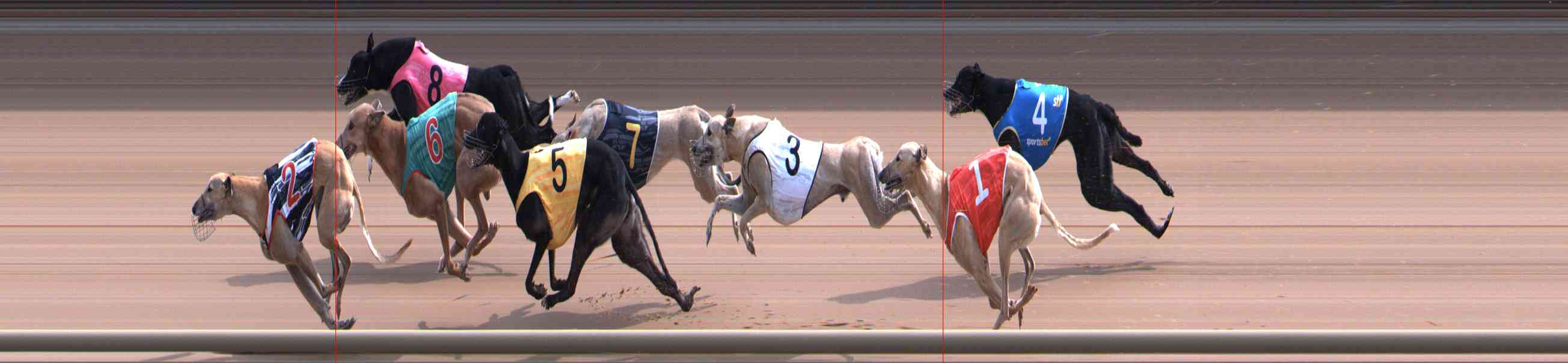 Photo finish for Healesville Race 7