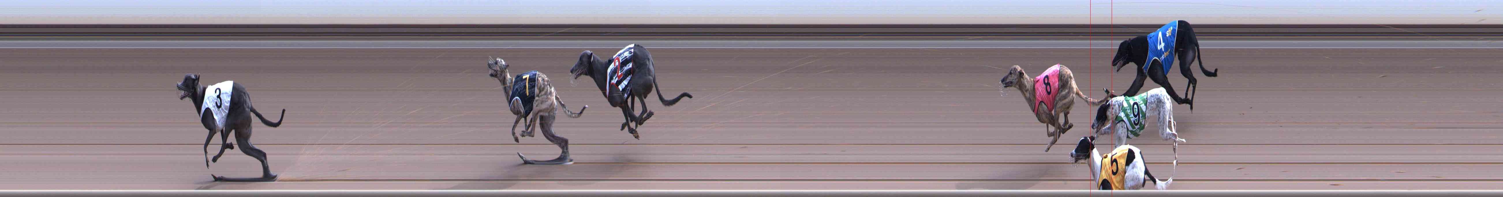 Photo finish for Healesville Race 9