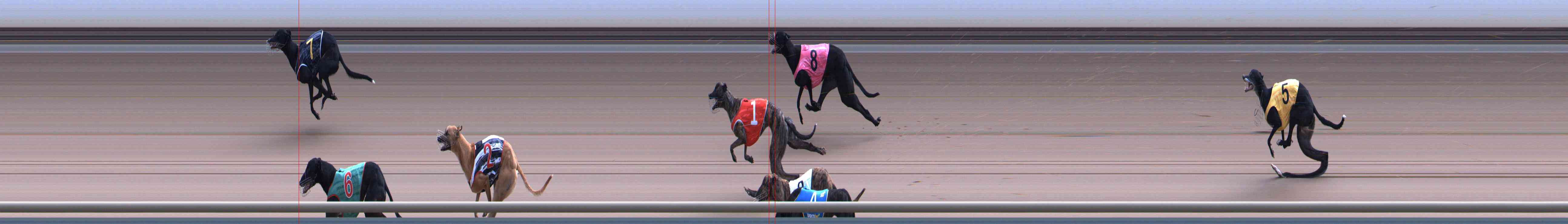 Photo finish for Healesville Race 10