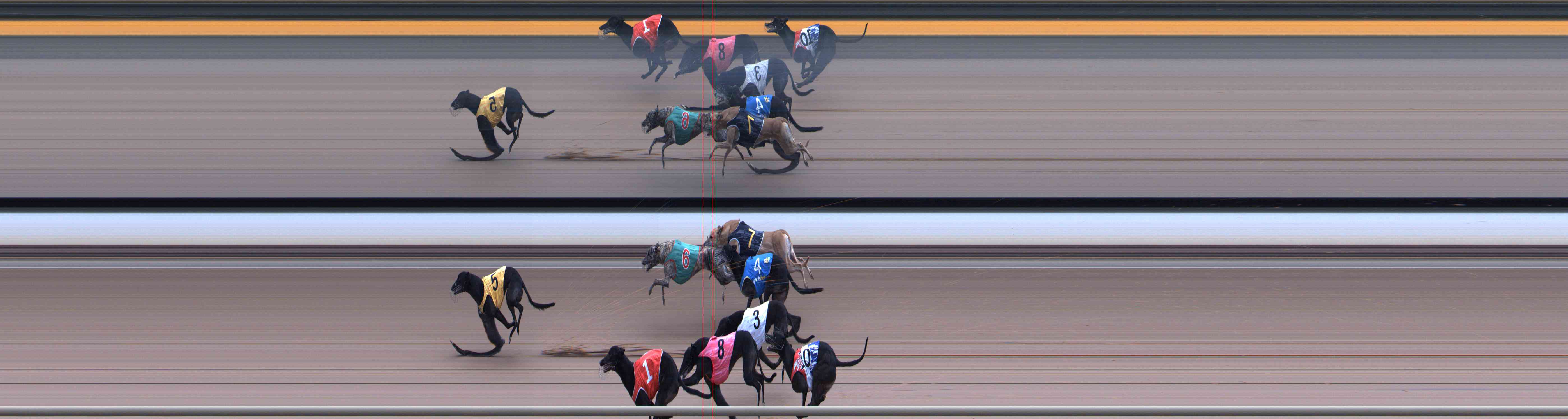 Photo finish for Healesville Race 11