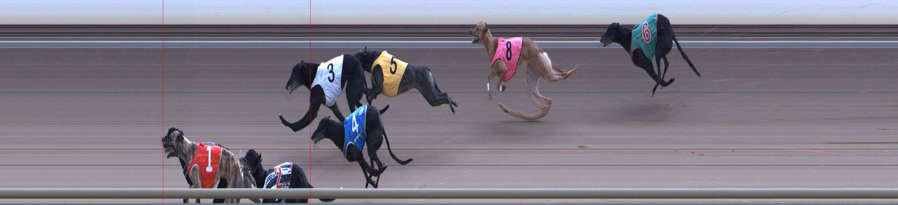 Photo finish for Healesville Race 12