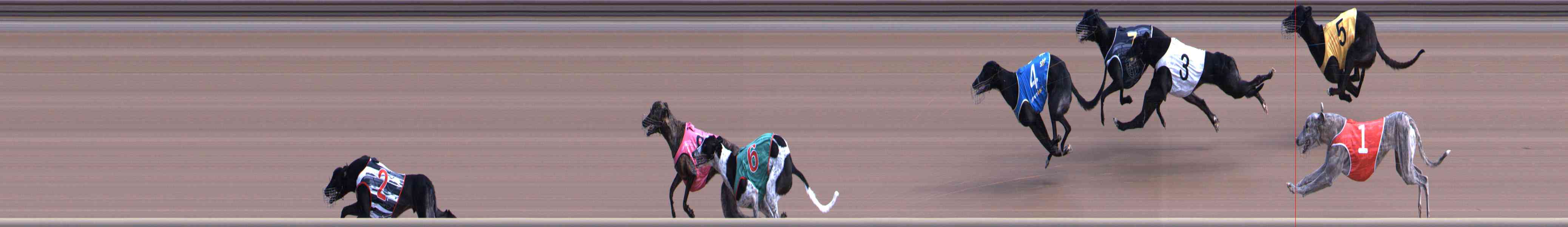 Photo finish for Healesville Race 2