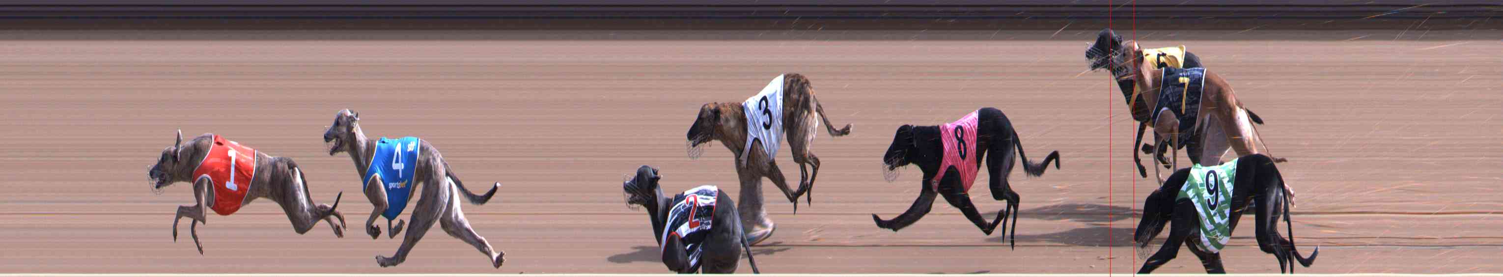 Photo finish for Healesville Race 3