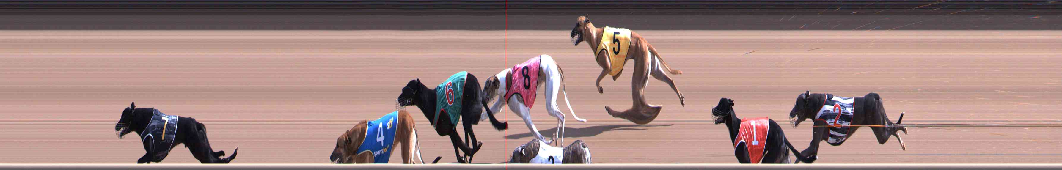 Photo finish for Healesville Race 4