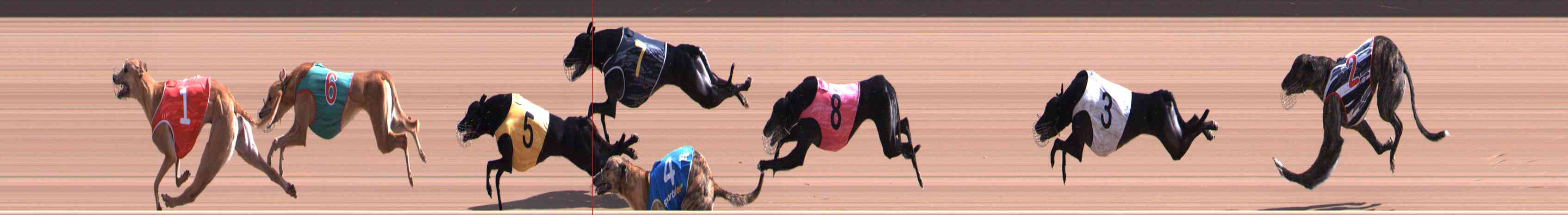 Photo finish for Healesville Race 5