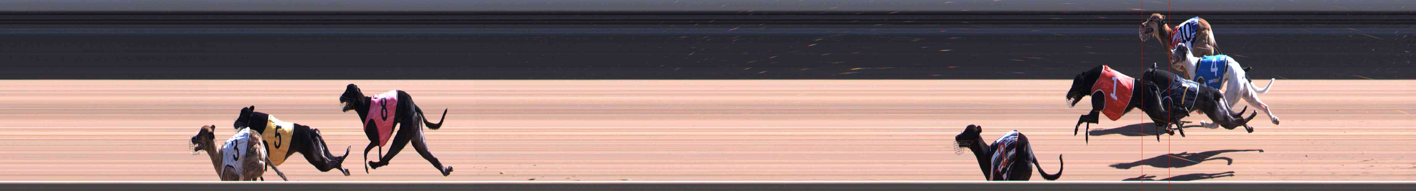 Photo finish for Healesville Race 7