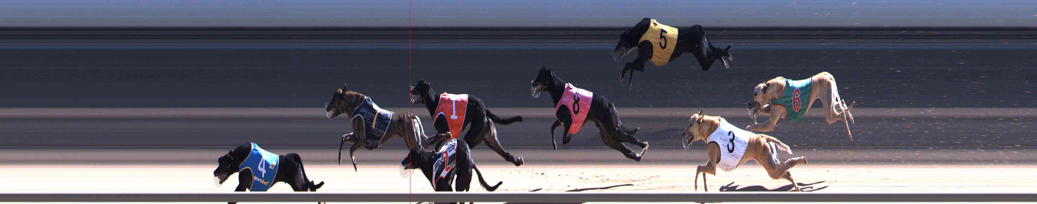 Photo finish for Healesville Race 8