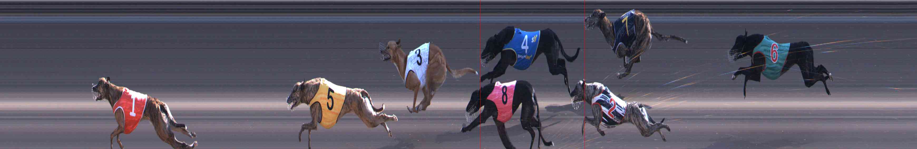 Photo finish for Healesville Race 9