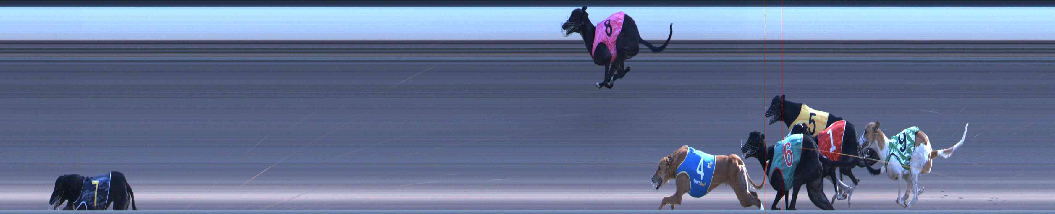 Photo finish for Healesville Race 11