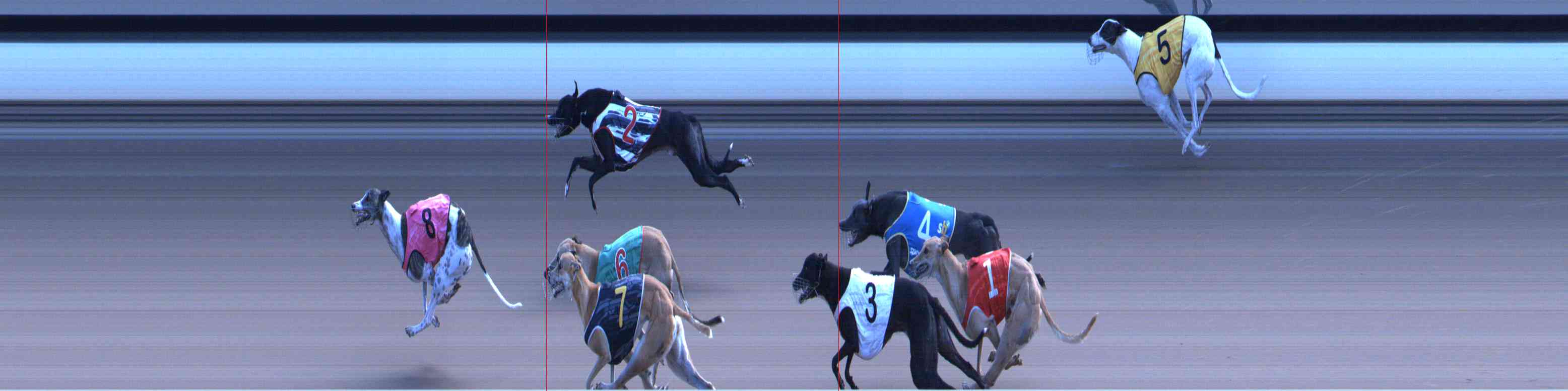 Photo finish for Healesville Race 12