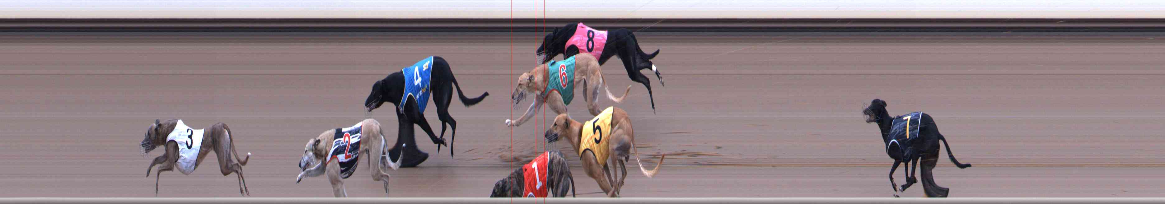 Photo finish for Healesville Race 5