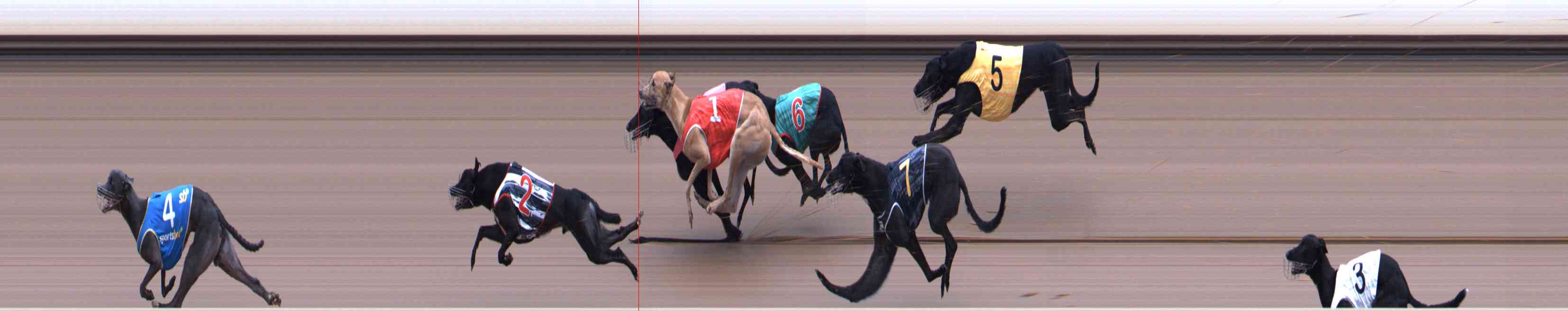 Photo finish for Healesville Race 6