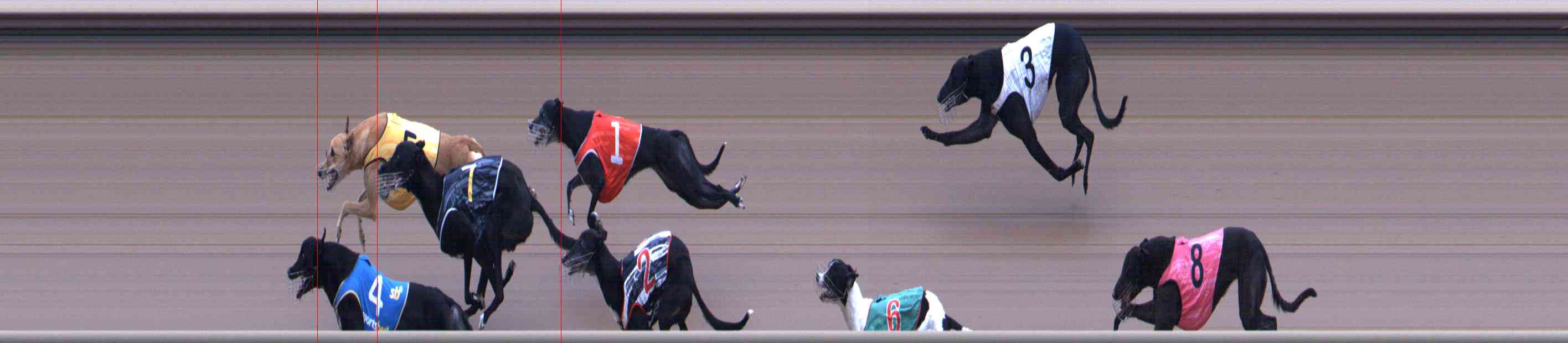 Photo finish for Healesville Race 8