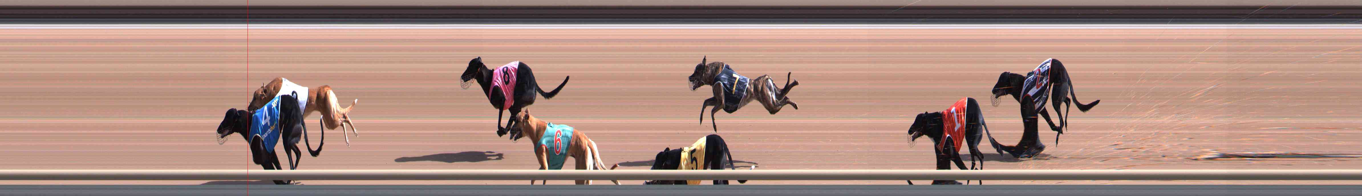 Photo finish for Healesville Race 2