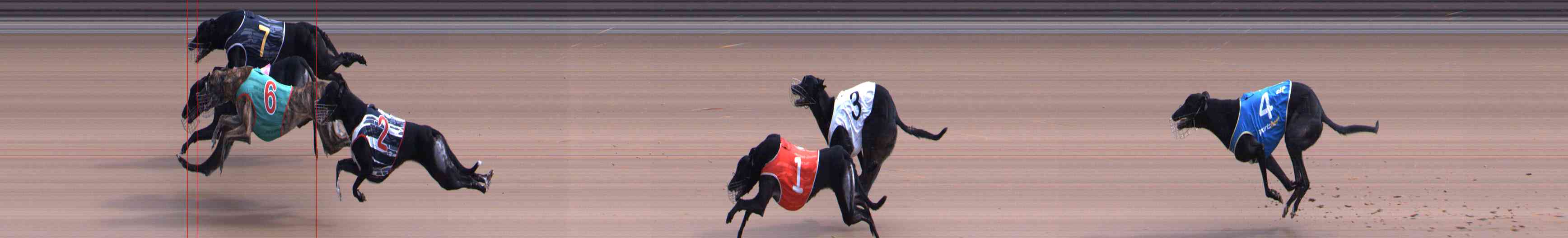 Photo finish for Healesville Race 4