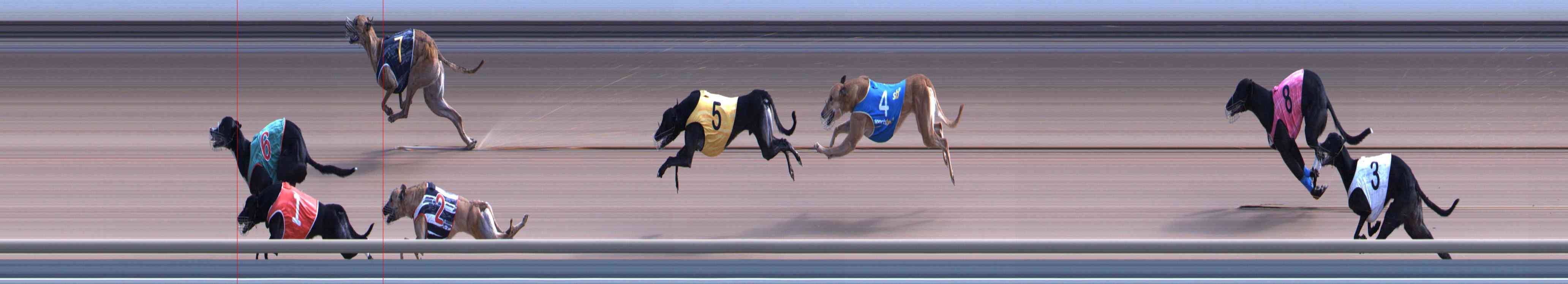 Photo finish for Healesville Race 6