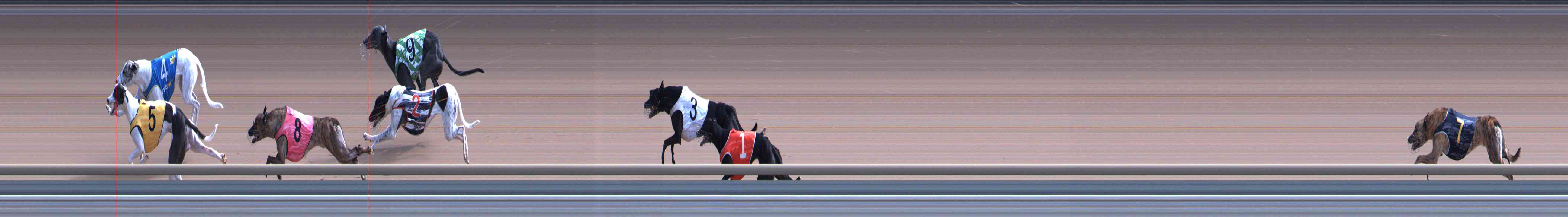 Photo finish for Healesville Race 8