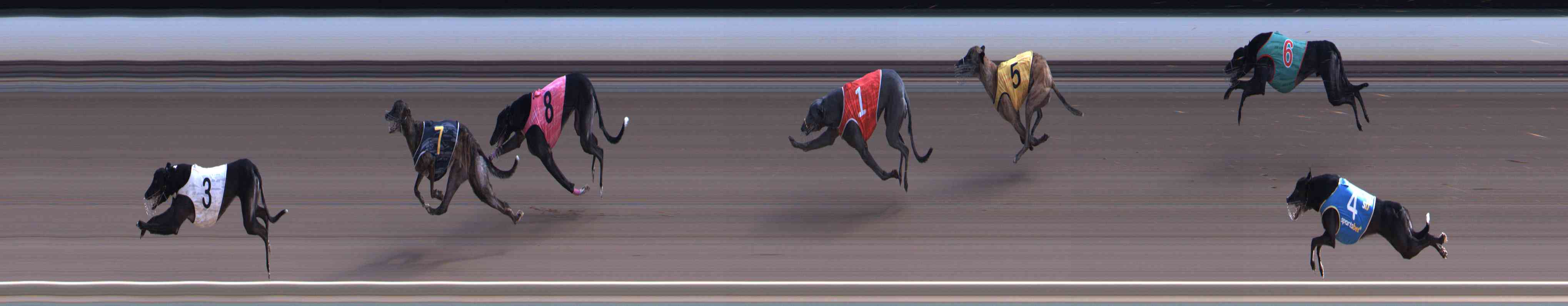 Photo finish for Healesville Race 9