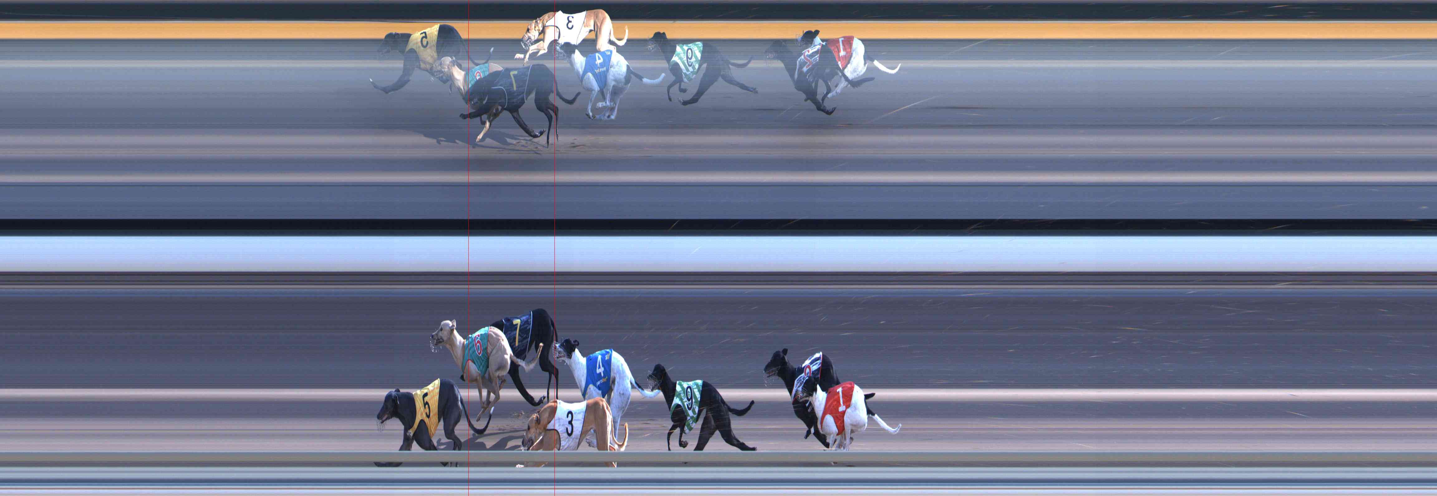 Photo finish for Healesville Race 10
