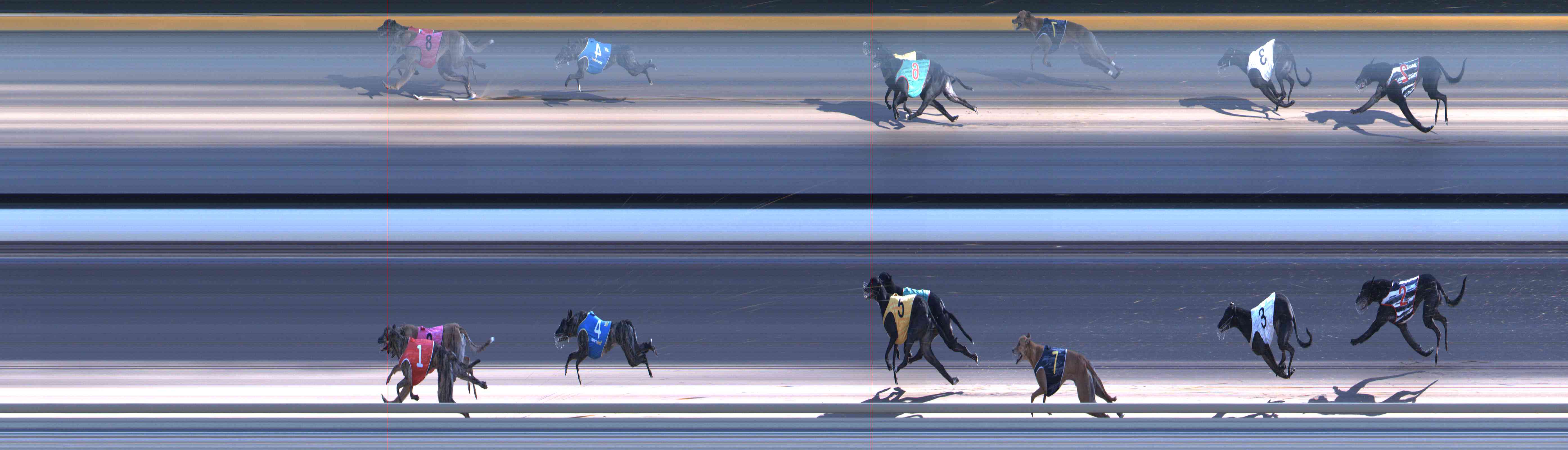 Photo finish for Healesville Race 11