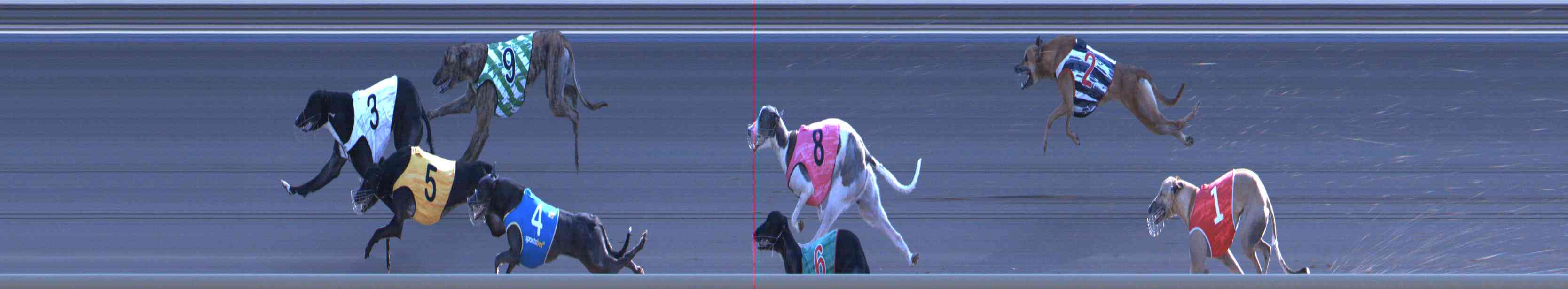 Photo finish for Healesville Race 12